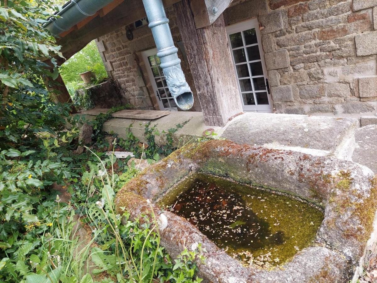 Condé-sur-Sarthe Manoir De La Chapelle Bed & Breakfast エクステリア 写真