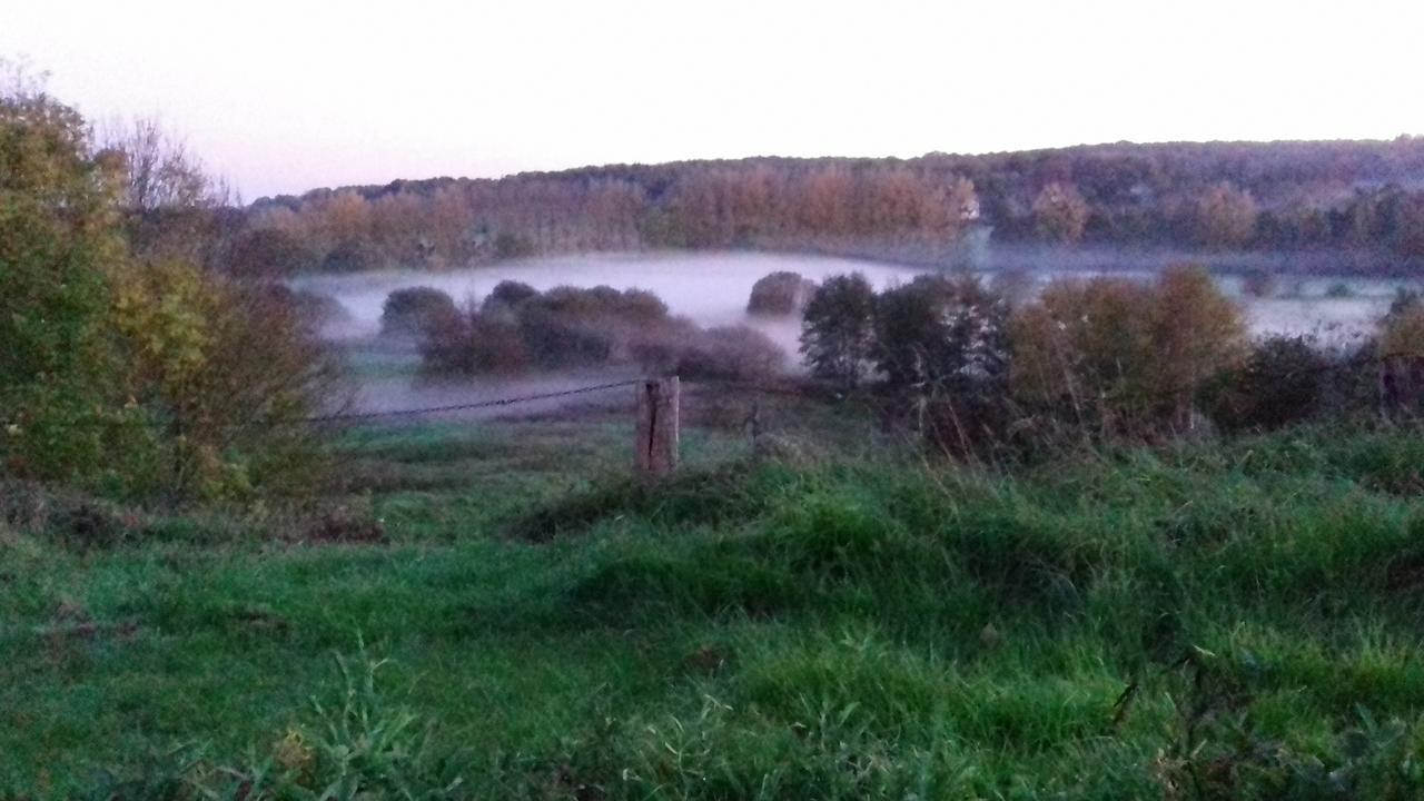 Condé-sur-Sarthe Manoir De La Chapelle Bed & Breakfast エクステリア 写真