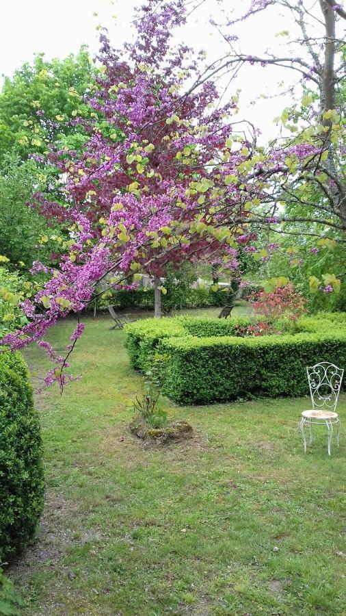 Condé-sur-Sarthe Manoir De La Chapelle Bed & Breakfast エクステリア 写真